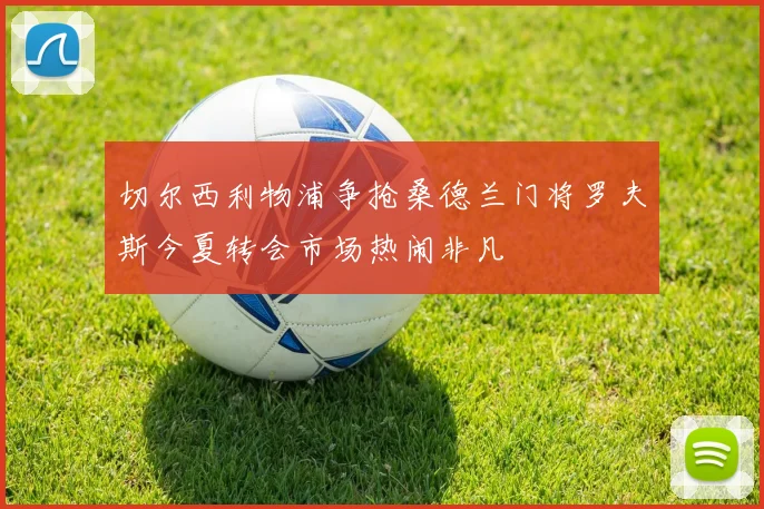 切尔西利物浦争抢桑德兰门将罗夫斯今夏转会市场热闹非凡